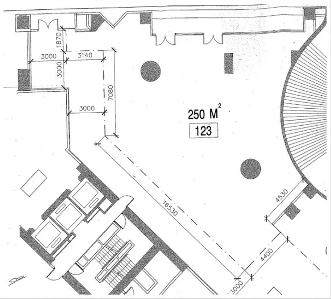 Retail Space for rent - Floor plan of a 250 sqm retail unit showing dimensions, columns and potential entrance points.