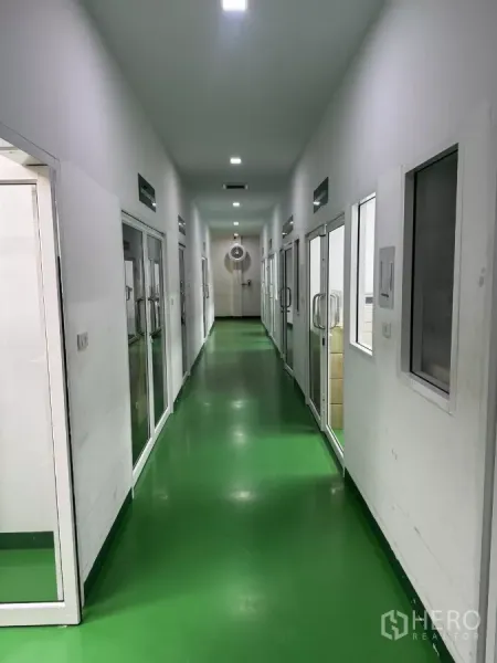 Factory for sale in Lam Luk Ka, Pathum Thani - Interior corridor lined with glass-partitioned rooms and windows under recessed lights.