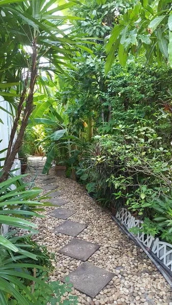 独立式住宅 出售在Mueang Nonthaburi, Nonthaburi - 碎石步道配踏脚石，穿行于浓密的热带花园