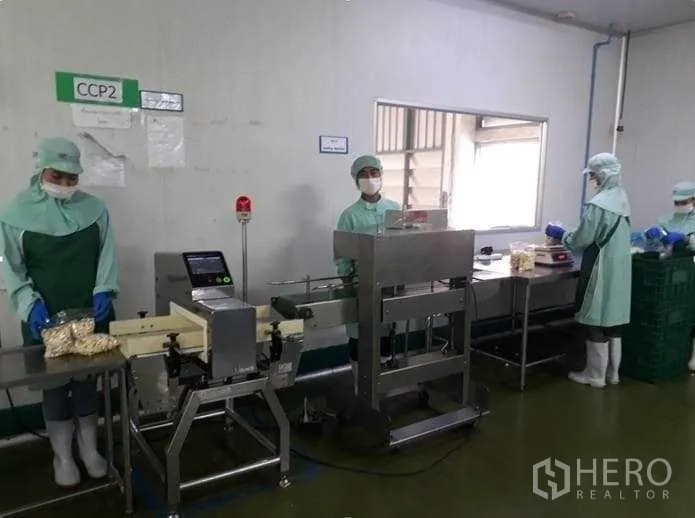 Factory for sale in Khlong Luang, Pathum Thani - Food-grade packaging line with conveyor and inspection equipment inside a hygienic room.
