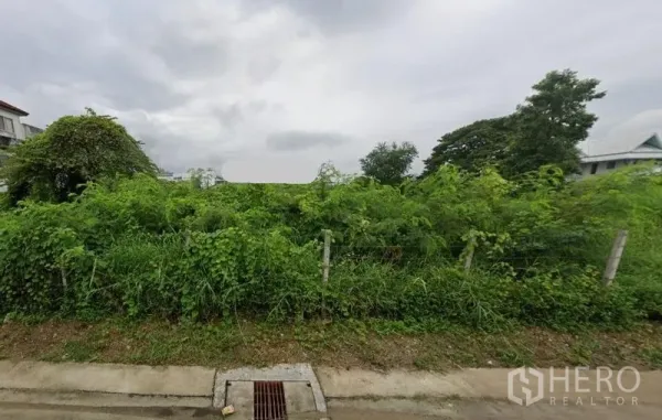 Land for rent in Prawet, Bangkok - Vacant green land plot with low fence and drainage on a concrete road in Prawet, Bangkok under cloudy skies.