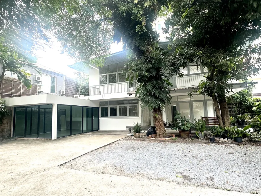 Detached House for rent in Watthana, Bangkok - Two-storey white detached house in Watthana with large trees, gravel and concrete driveway, and wide windows.