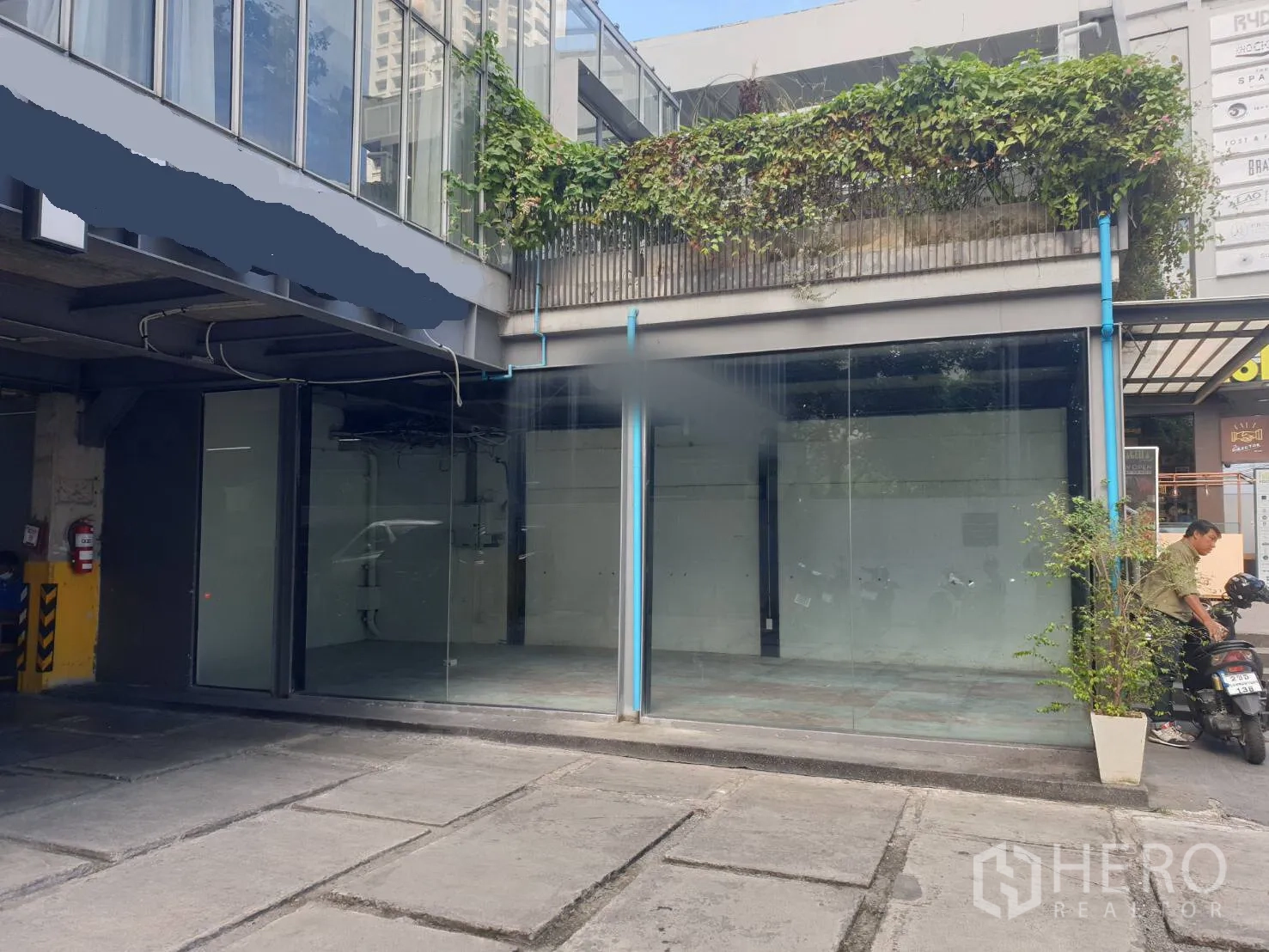 Retail Space for rent in Khlong Toei, Bangkok - Street-level retail unit with full-height glass frontage, concrete forecourt, and greenery on the balcony above.