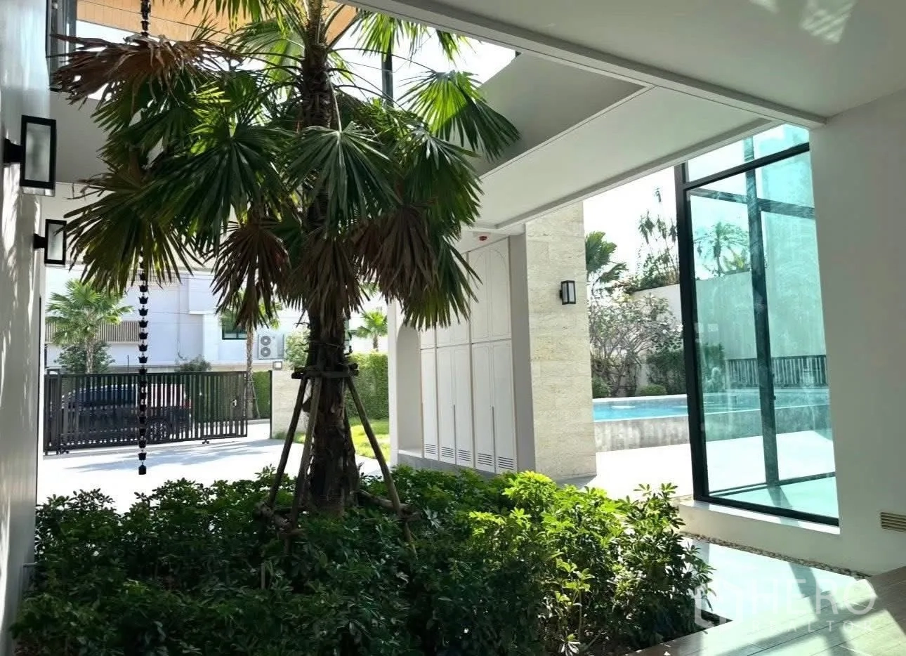 Detached House for sale in Bang Khen, Bangkok - Landscaped courtyard with a palm tree beside a covered area and the pool beyond.