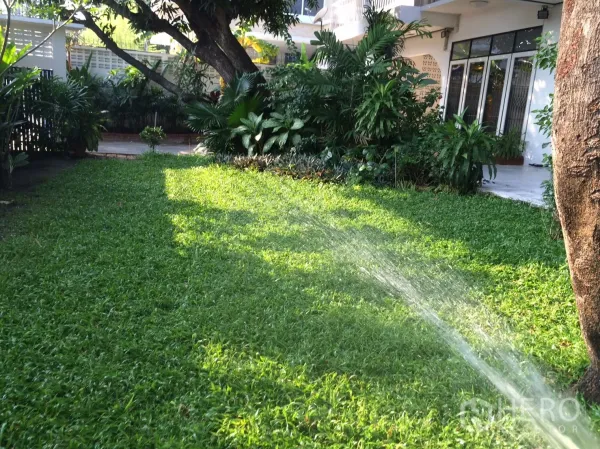Detached House for rent in Khlong Toei, Bangkok - Private green lawn with mature trees and patio beside the house.