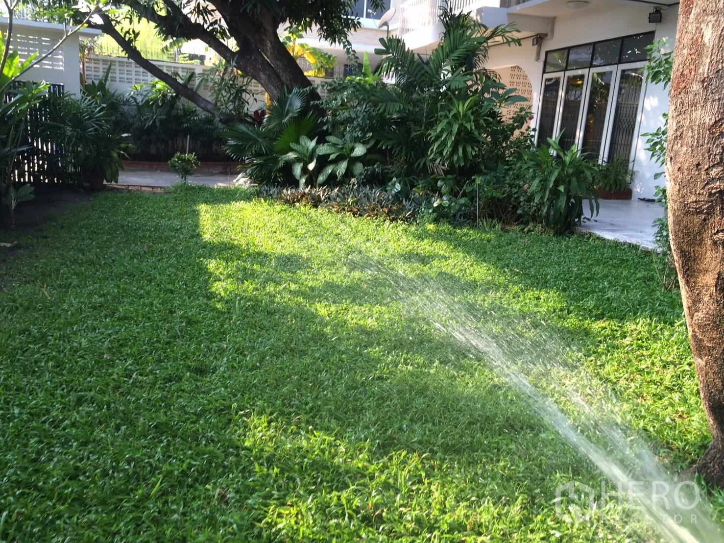 Detached House for rent in Khlong Toei, Bangkok - Private green lawn with mature trees and patio beside the house.
