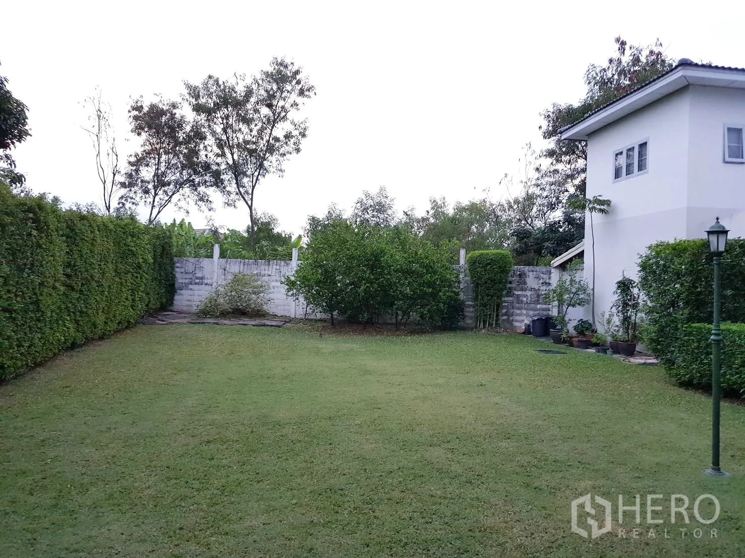 Detached House for rent in Khan Na Yao, Bangkok - Deep lawn bordered by privacy hedge and garden wall next to a separate outbuilding.