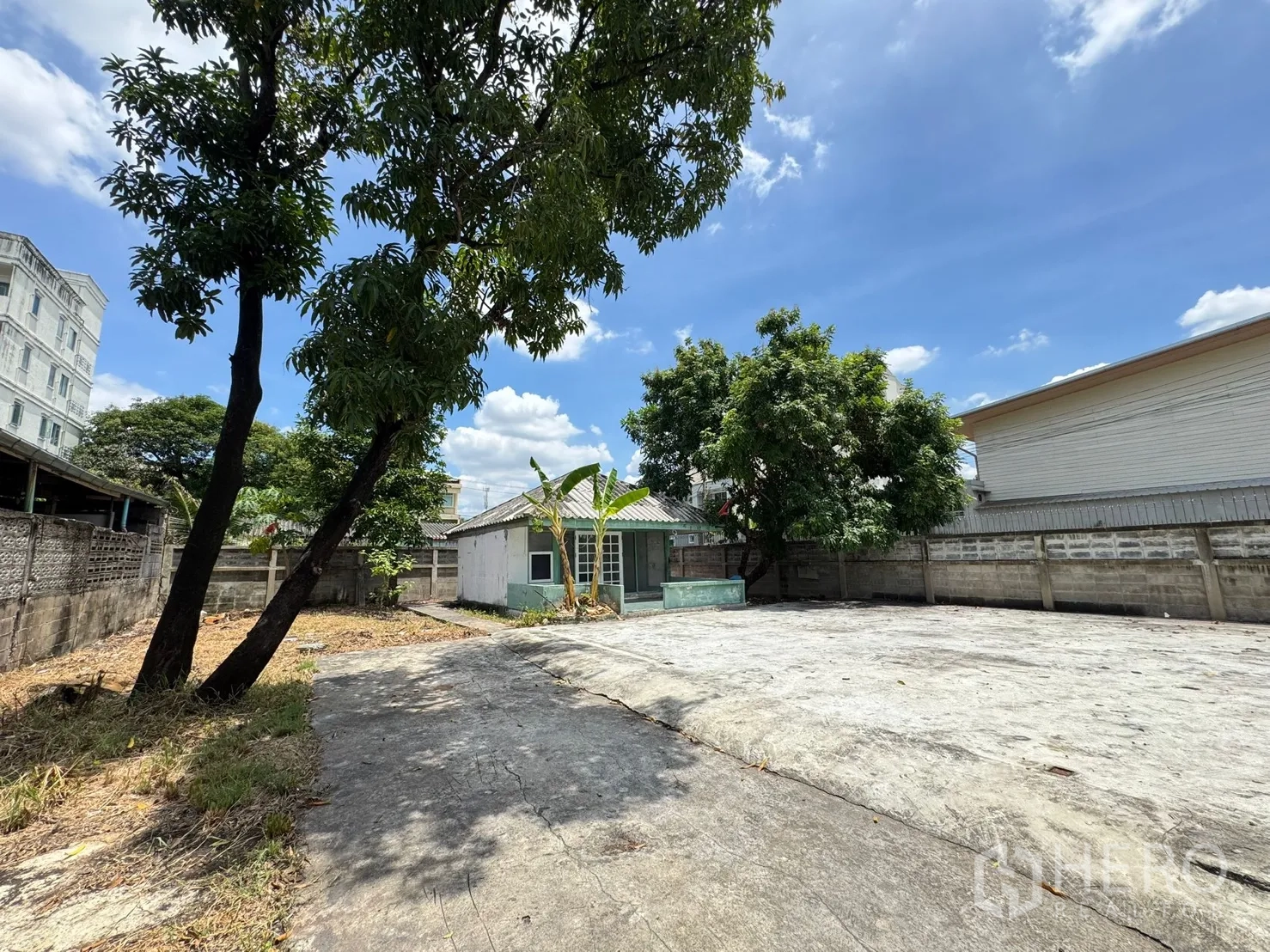 独栋房屋 for rent in Mueang Samut Prakan, Samut Prakan - 单层小屋坐落在宽阔地块上，周围有大树和大片硬化场地。