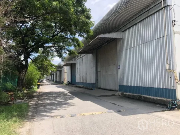 Warehouse for rent in Lat Krabang, Bangkok - Corrugated metal warehouse blocks along an internal access road with shade trees in Lat Krabang industrial area.
