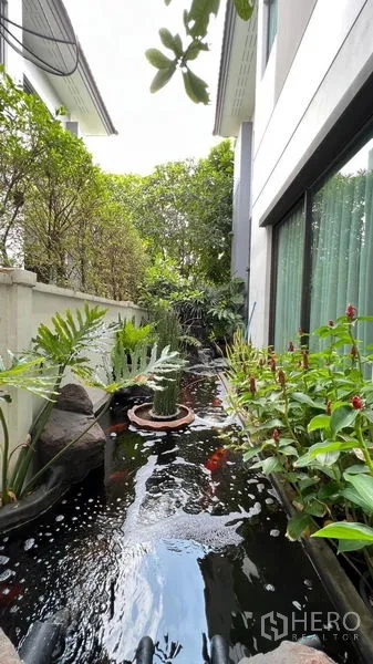 บ้าน ให้เช่าหรือขายในBang Khen, Bangkok - สระเลี้ยงปลา/บ่อปลาคราฟข้างบ้าน รายล้อมด้วยต้นไม้เขียวชอุ่ม