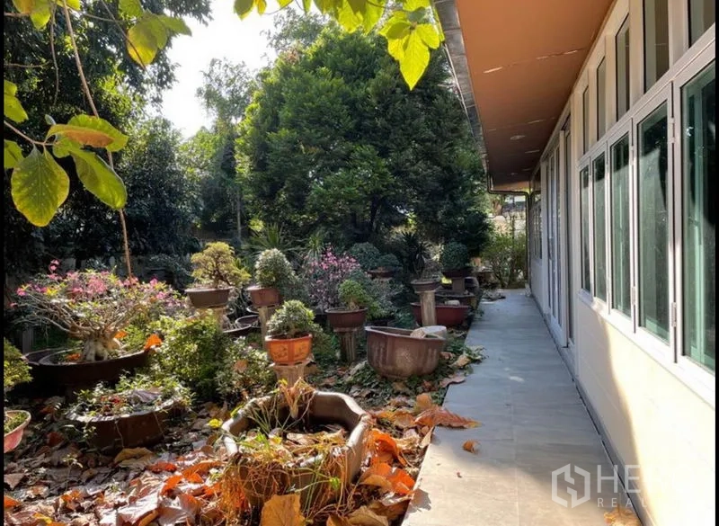 Detached House for rent in Khlong Toei, Bangkok - Walkway along the house facing dense greenery and flowering plants.