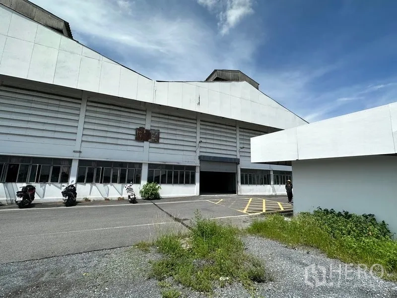 货栈 出租在Lam Luk Ka, Pathum Thani - 仓库前场带黄色装卸标线，宽车行通道与绿化，主卷帘门入口清晰可见。