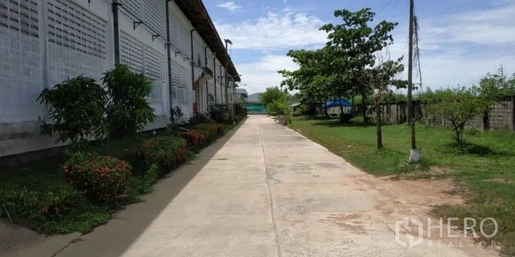 โรงงาน ให้เช่าในChachoengsao - ทางเดินคอนกรีตข้างอาคารโรงงาน มีต้นไม้และสวนจัดแต่ง