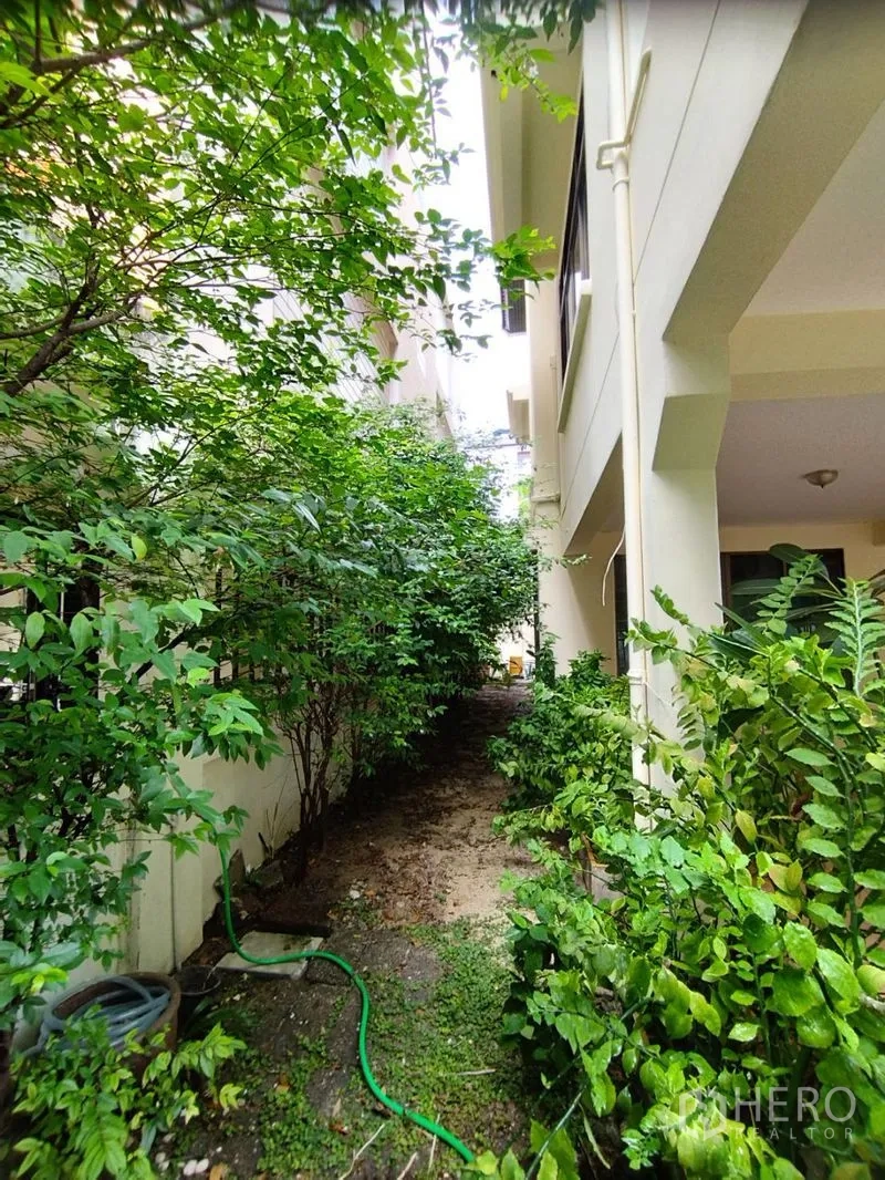 Detached House for rent in Watthana, Bangkok - Narrow side garden with mature shrubs along the house wall.