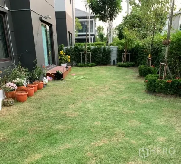 Detached House for rent or sale in Samut Prakan - Spacious side yard with green lawn, potted plants and privacy hedges along the house.