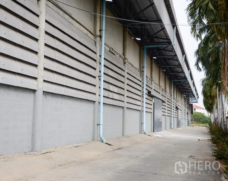Factory for rent in Pathum Thani - Warehouse side elevation with covered loading bay, drainage pipes, and driveway lined with palm trees.