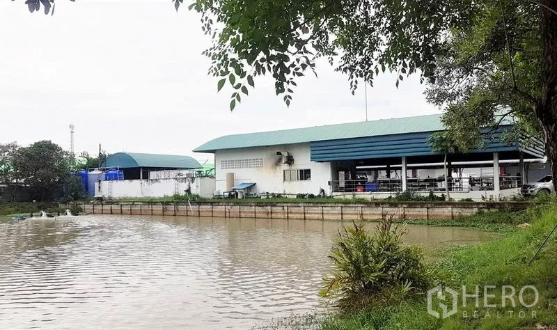 Factory for sale in Lam Luk Ka, Pathum Thani - Factory buildings overlooking an on‑site pond with greenery and trees around the water.