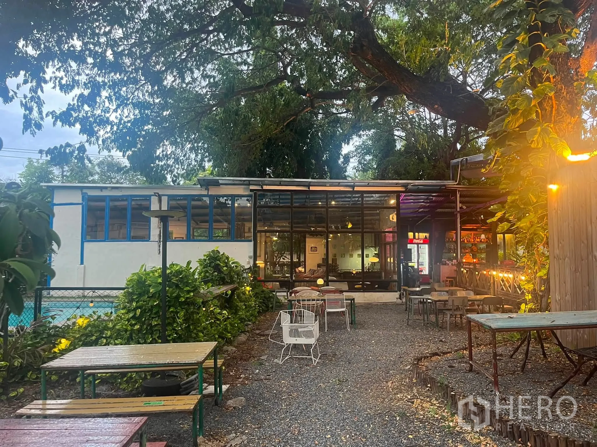 零售空间 for rent in Watthana, Bangkok - 玻璃立面朝向碎石庭院，户外桌椅在大树下排列。