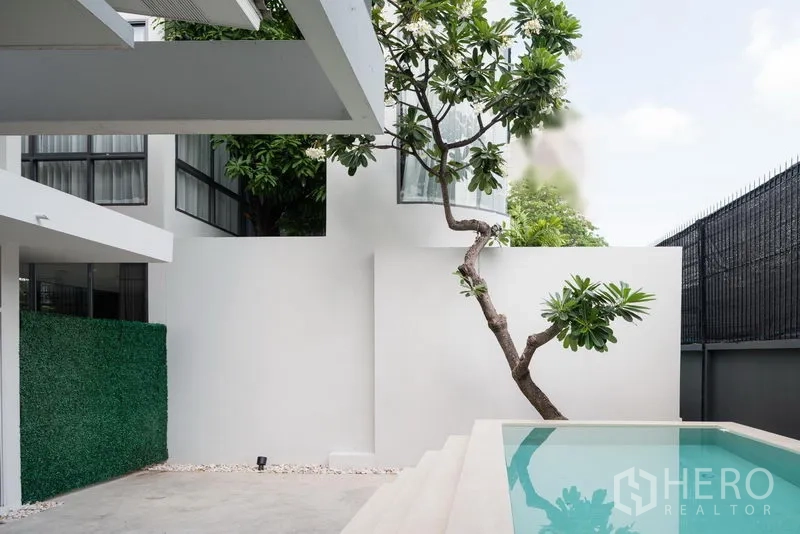 Home Office for rent in Khlong Toei, Bangkok - Minimalist courtyard with a small plunge pool, white walls and a sculptural tree.