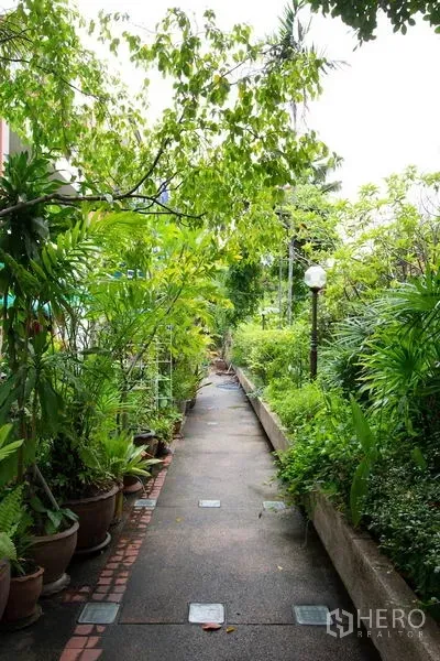 Townhouse for rent in Khlong Toei, Bangkok - Leafy garden walkway lined with potted plants and mature trees.