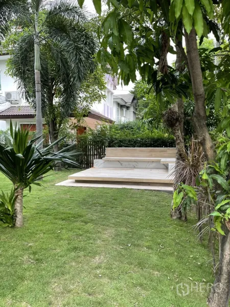 Detached House for rent in Bang Kapi, Bangkok - Landscaped yard featuring a raised marble terrace surrounded by tropical plants.