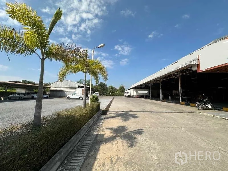 Warehouse for rent in Lam Luk Ka, Pathum Thani - Palm-lined internal road next to long loading dock and parking areas.