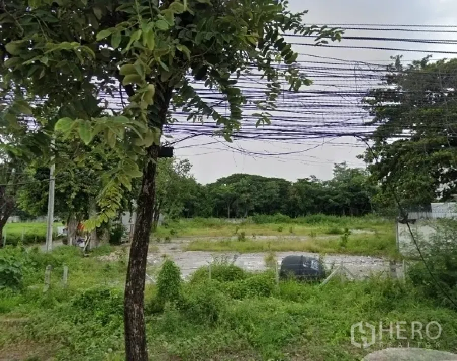 地 出租或出售在Huai Khwang, Bangkok - 地面视角的空地，地势平坦有草地，路边树木与上方电缆清晰可见。