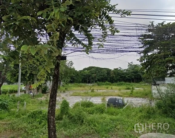 地 出租或出售在Huai Khwang, Bangkok - 地面视角的空地，地势平坦有草地，路边树木与上方电缆清晰可见。