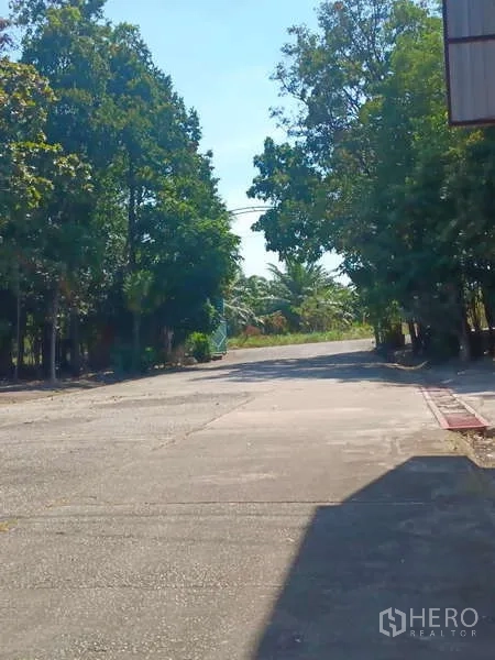 Warehouse for rent in Mueang Rayong, Rayong - Private driveway lined with trees leading into the warehouse complex.