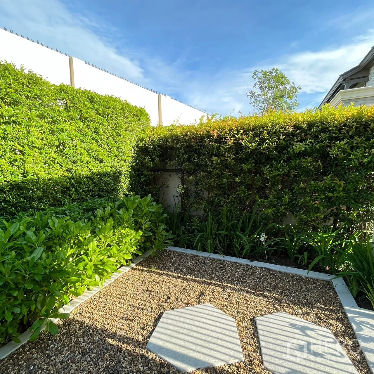 Detached House for rent or sale in Bang Khen, Bangkok - Private garden nook with gravel groundcover and dense hedges.