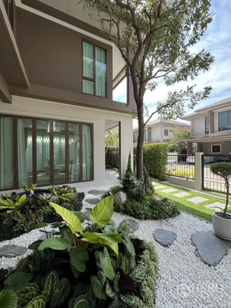 Detached House for rent or sale in Bang Kapi, Bangkok - Zen-style garden close-up with stepping stones, white pebbles and lush foliage.