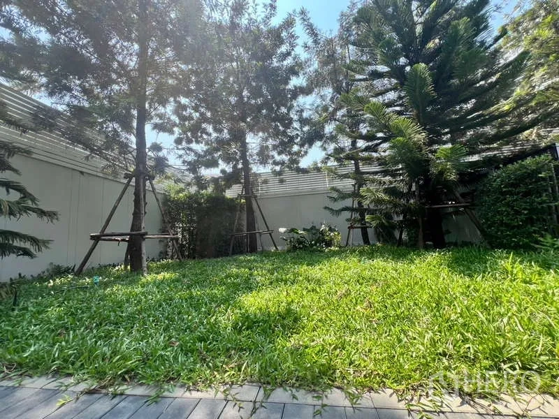 Townhouse for rent in Phra Khanong, Bangkok - Private lawn and mature trees inside the townhouse garden.