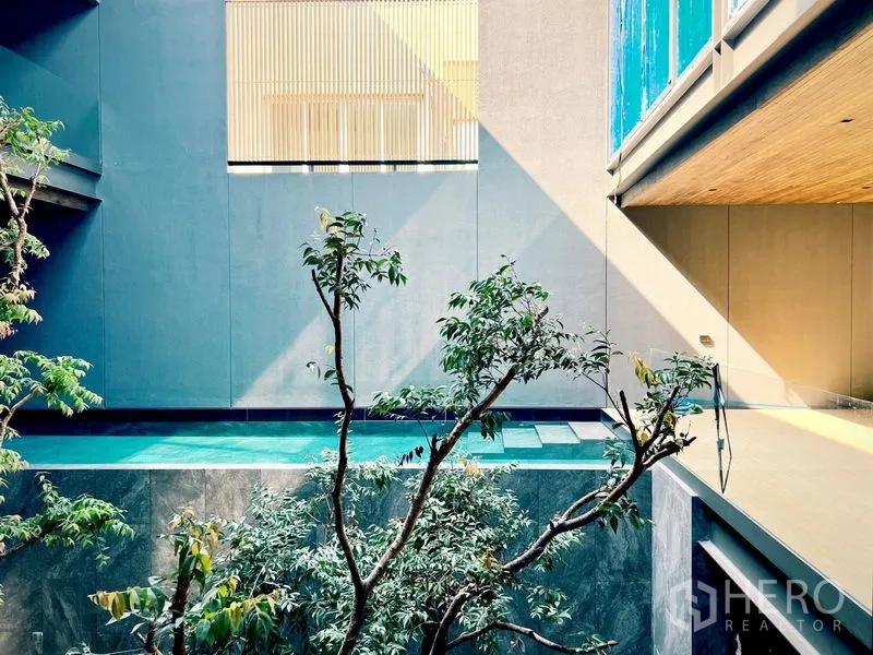Detached House for rent or sale in Bangkok - Daylit atrium with mature trees and an elevated pool.