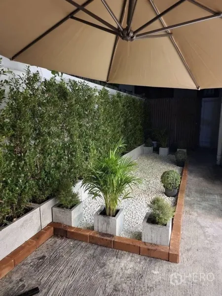 Detached House for rent in Khlong Toei, Bangkok - Compact private garden with pebble landscaping, potted plants and a large umbrella
