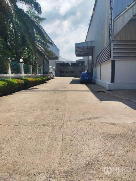 Warehouse for rent in Mueang Samut Sakhon, Samut Sakhon - Wide concrete driveway between warehouse buildings with palm trees and parking space.