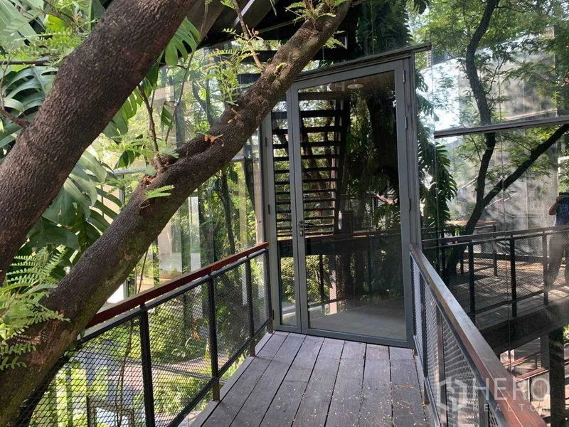 Office Space for rent in Khlong Toei, Bangkok - Narrow deck with mesh railing leading to a glass door beside a large tree trunk.