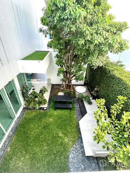 Detached House for rent or sale in Bang Phli, Samut Prakan - Private courtyard garden with a mature tree, lawn, seating and lush hedges.