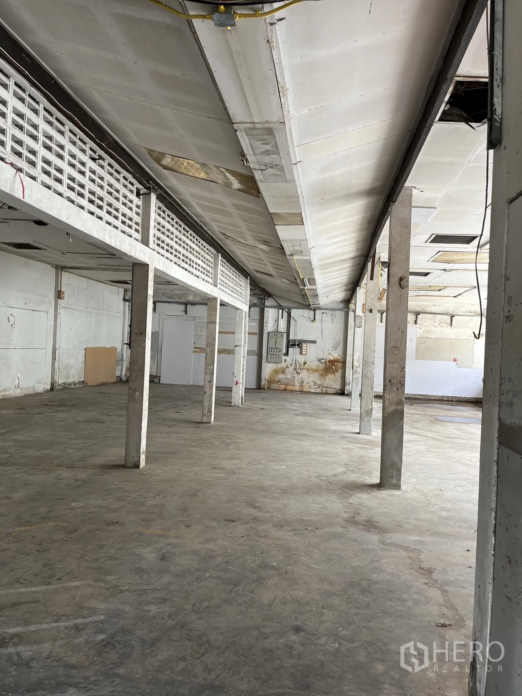 Warehouse for rent in Bangkok - Spacious warehouse hall with concrete floor, multiple support columns and low ceiling.
