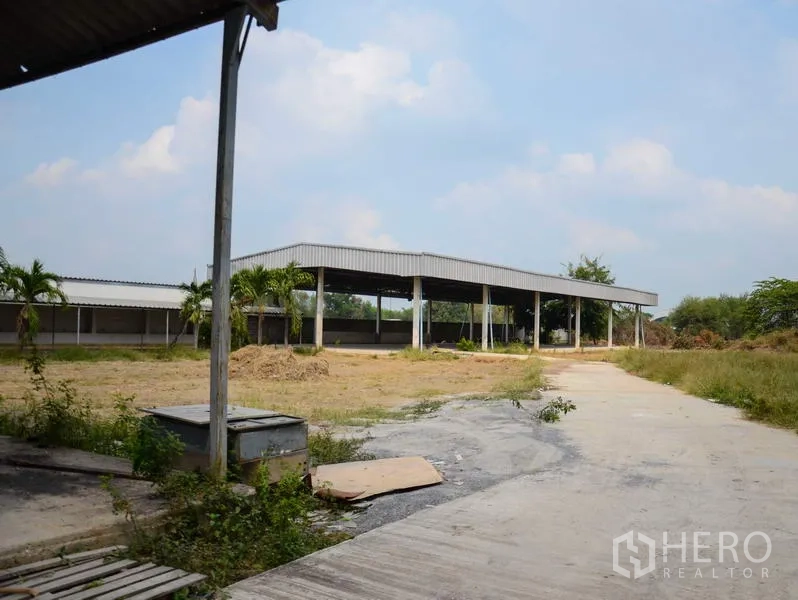 Factory for rent in Pathum Thani - Open yard with covered shed and concrete access road within the industrial site.