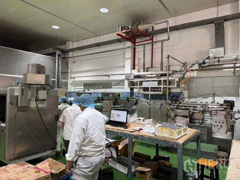Factory for sale in Samut Prakan - Production line area with control desk, laptop and carton packing stations.