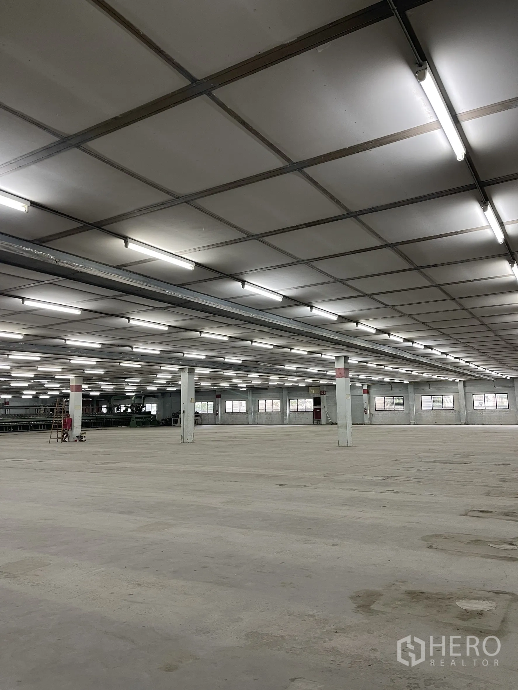 Factory for rent in Phra Samut Chedi, Samut Prakan - Vast factory interior with grid ceiling, bright fluorescent lighting and open concrete floor.