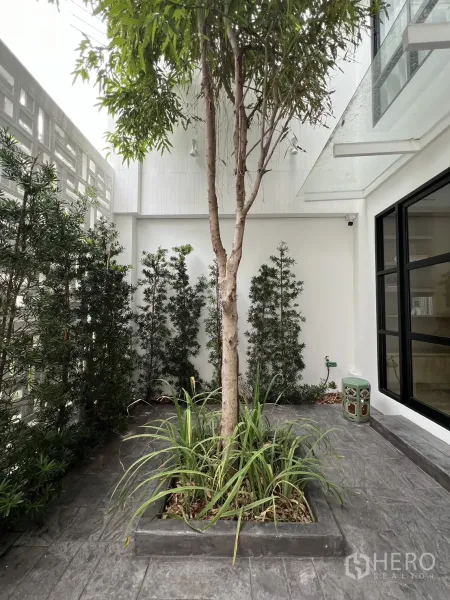 Townhouse for sale in Watthana, Bangkok - Close view of the courtyard tree and hedges beside crisp white exterior walls.