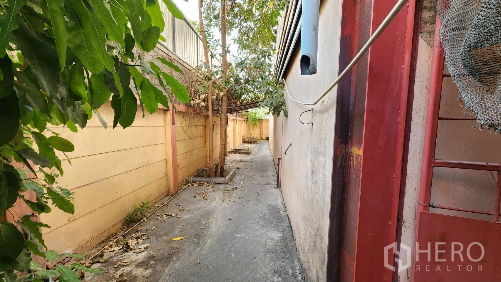 Warehouse for rent in Nonthaburi - Shaded lane behind the warehouse with trees and a boundary wall.