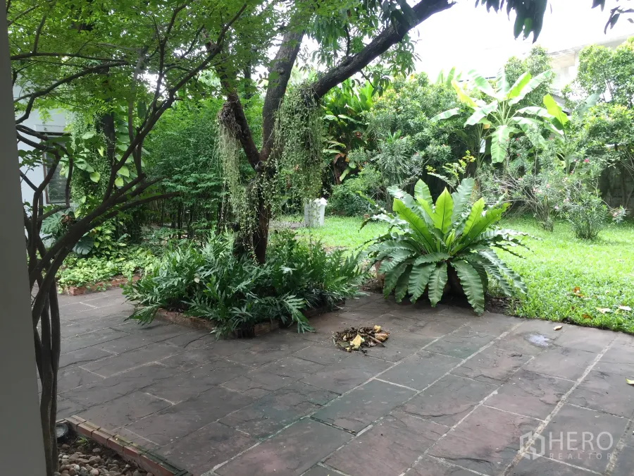 Detached House for rent in Khlong Toei, Bangkok - Shaded garden with mature trees, lawn and a stone patio at the detached house.