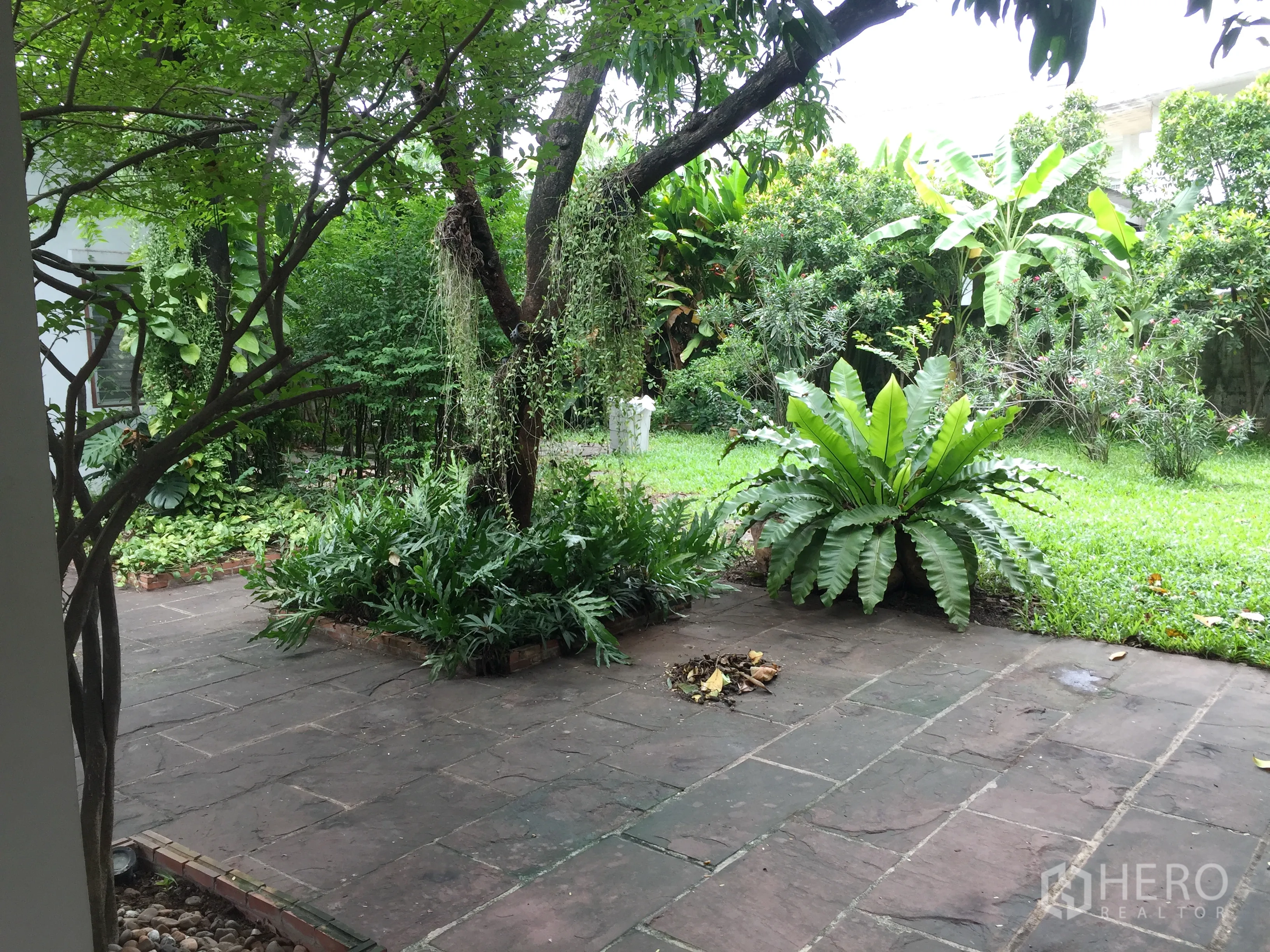 Detached House for rent in Khlong Toei, Bangkok - Shaded garden with mature trees, lawn and a stone patio at the detached house.