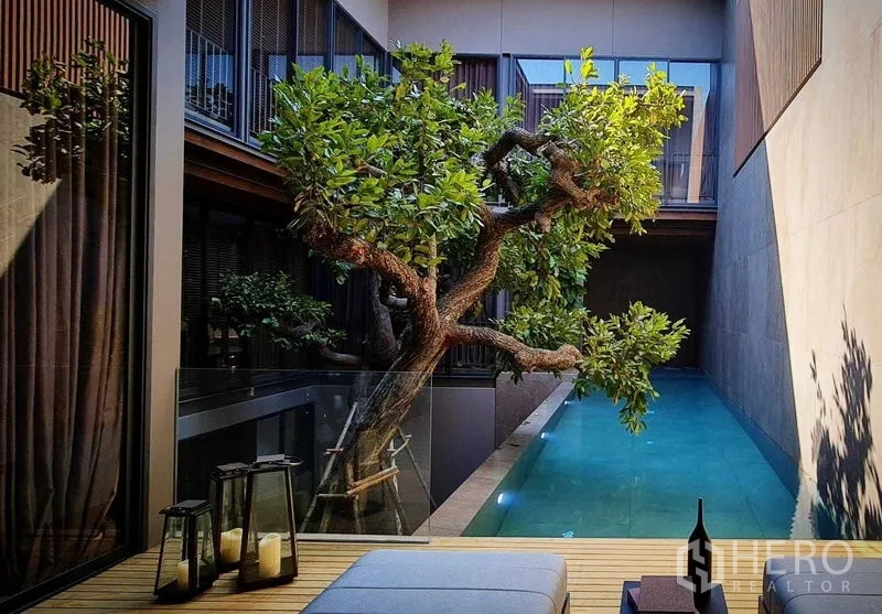 บ้าน ขายในLat Phrao, Bangkok - คอร์ตยาร์ดสระว่ายน้ำมีต้นไม้ใหญ่และราวกระจก ล้อมด้วยอาคารสมัยใหม่