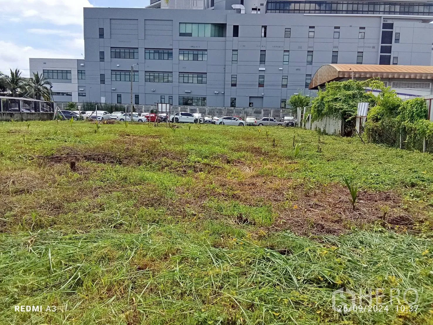 地 出租在Khan Na Yao, Bangkok - 清理后的地块有新植幼树，旁边是大型现代化办公或厂房及停车场。