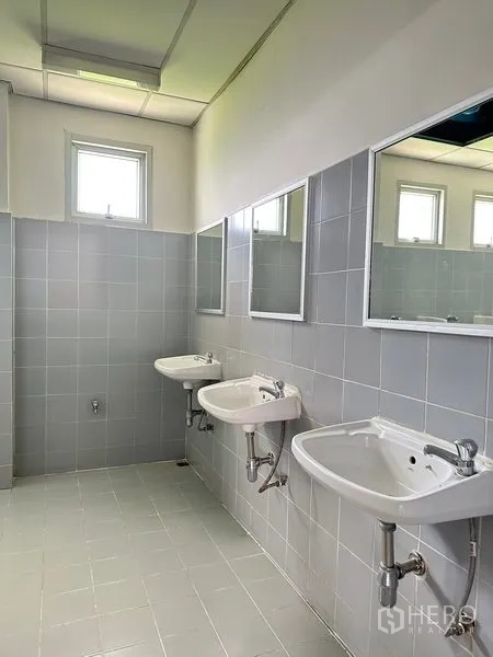 Factory for rent in Phra Nakhon Si Ayutthaya - Clean restroom with tiled walls, mirrors, and wall-mounted wash basins with windows for light.