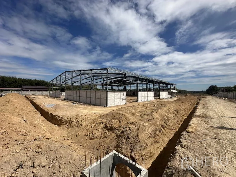 Warehouse for rent or sale in Nikhom Phatthana, Rayong - Wide view of a new-build warehouse steel frame under construction with earthworks and trenching on a clear day in Rayong.