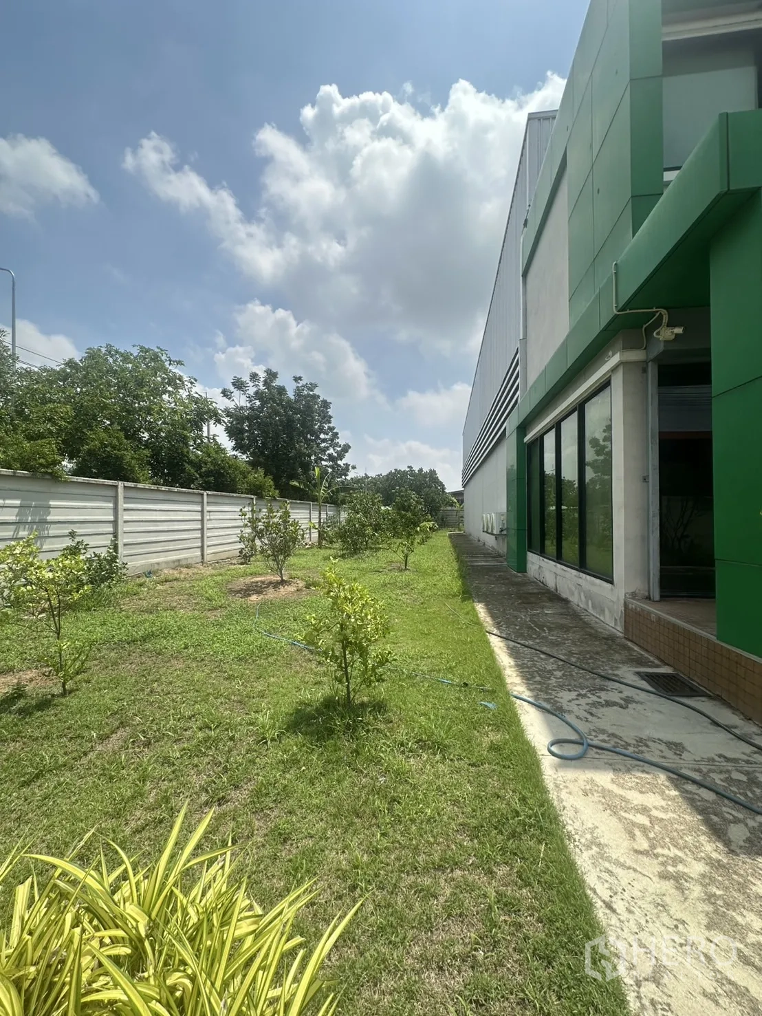 Warehouse for sale in Bang Len, Nakhon Pathom - Landscaped side garden with young trees along the warehouse wall.
